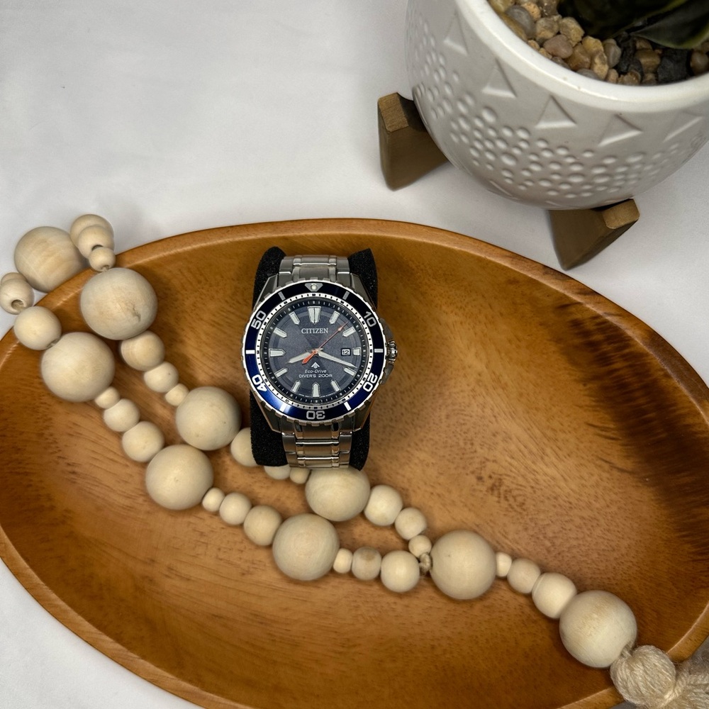 Citizen’s Promaster Dive EUC